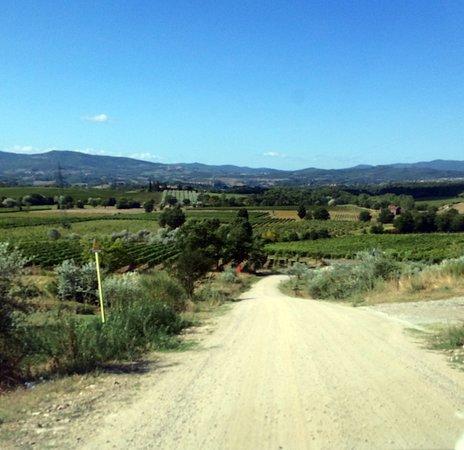 Agriturismo Relais Poggio Primo Borro Eksteriør bilde