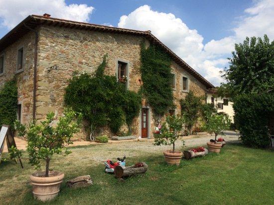 Agriturismo Relais Poggio Primo Borro Eksteriør bilde